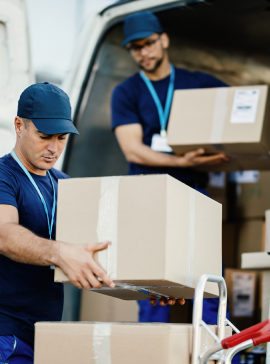 Marina Freights logistics expertise